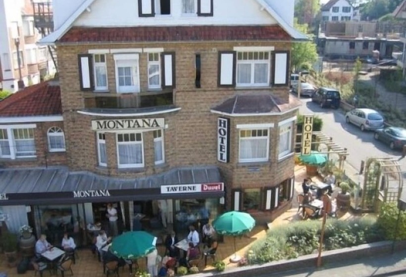 هتل Montana