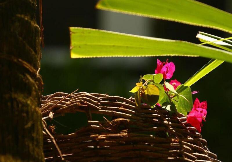 فندق Pousada Dos Coqueiros