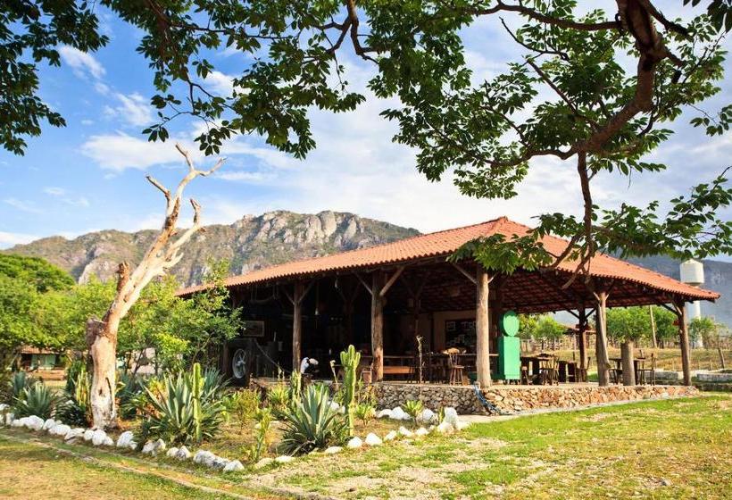 Hotel Pousada Veredas, Café E 08 Cachoeiras Na Propriedade Incluso !