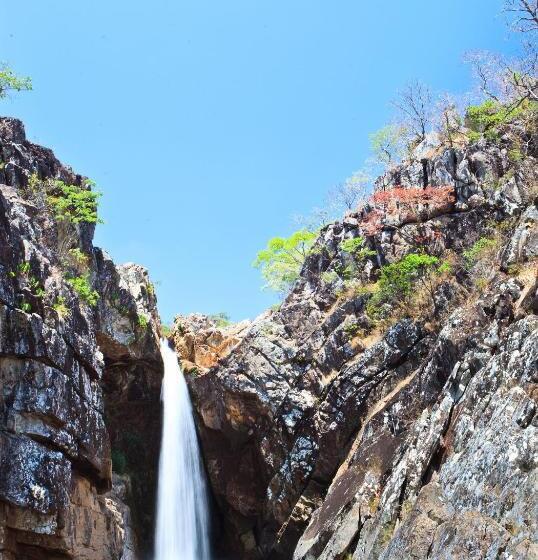 Hotel Pousada Veredas, Café E 08 Cachoeiras Na Propriedade Incluso !