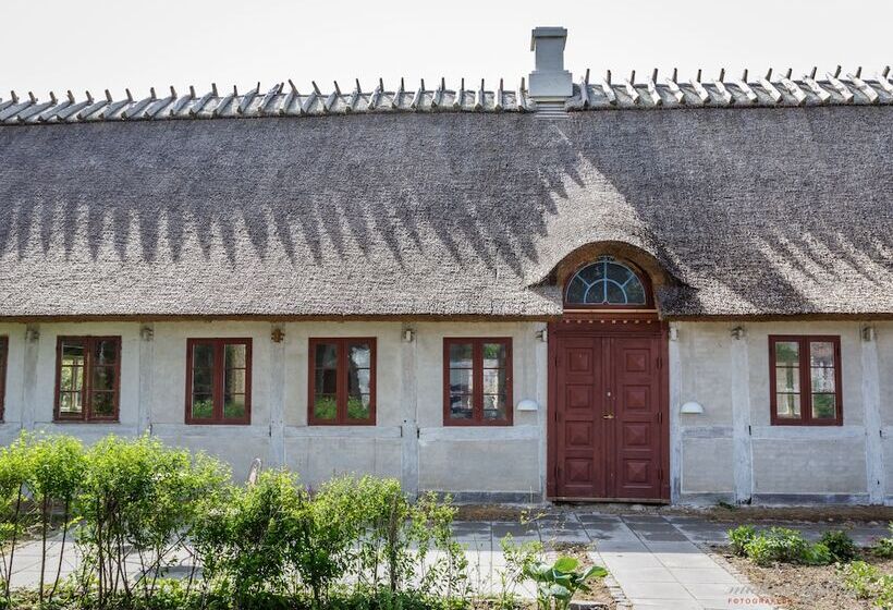 Ragnhilds Gård Hostel