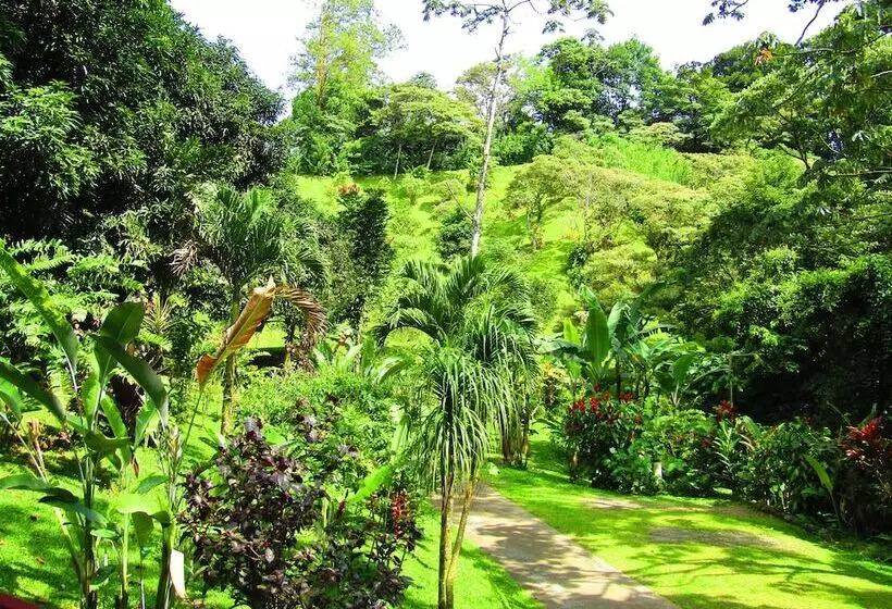 Hotelli Agua Inn
