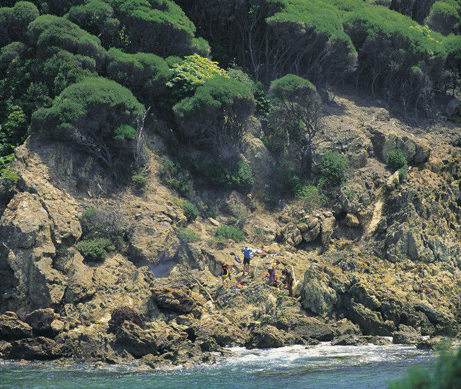 ホテル Ingenia Holidays Eden Beachfront