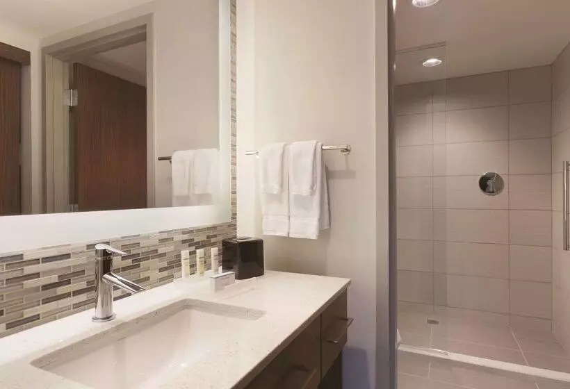 ホテル Homewood Suites By Hilton Pittsburgh Downtown