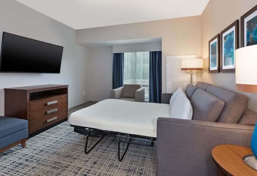 فندق Homewood Suites By Hilton Pittsburgh Downtown