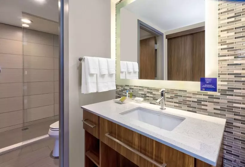 ホテル Homewood Suites By Hilton Pittsburgh Downtown