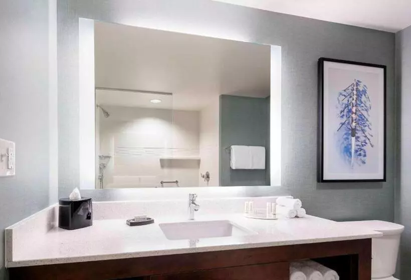 ホテル Residence Inn By Marriott Boston Watertown