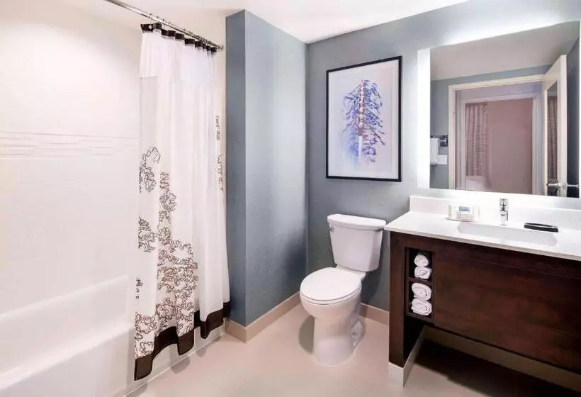 ホテル Residence Inn By Marriott Boston Watertown