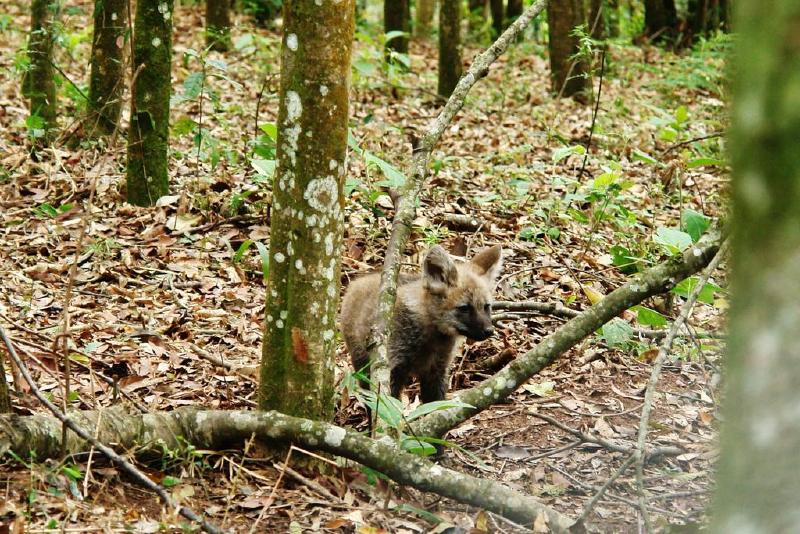 호텔 Unique Garden