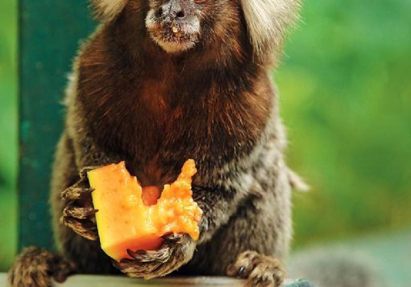 호텔 Unique Garden