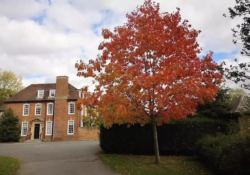 Hotelli Catthorpe Manor Estate