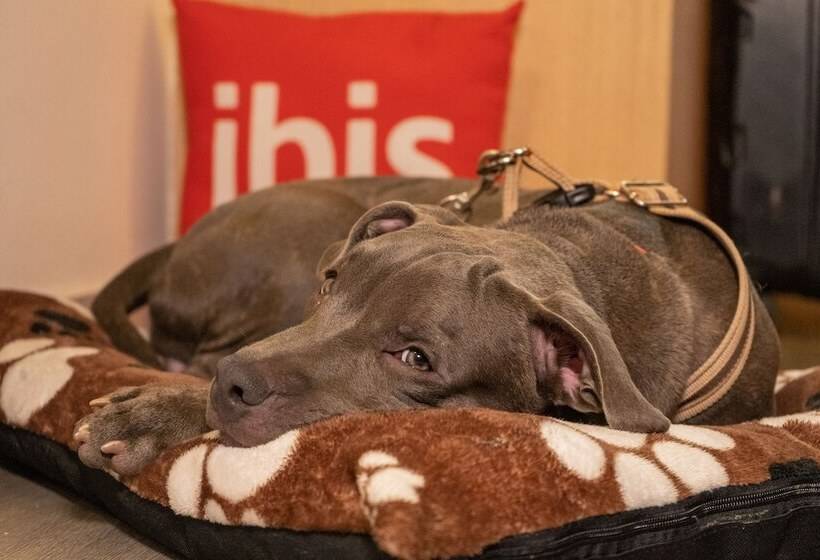 ホテル Ibis Cartagena Marbella