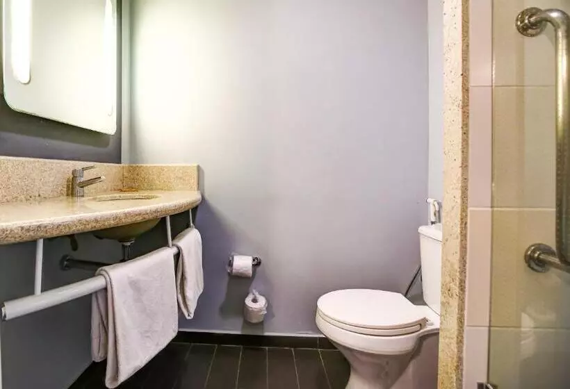هتل Ibis Rio De Janeiro Nova America