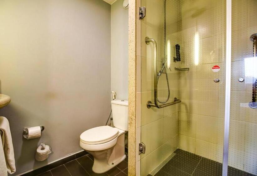 هتل Ibis Rio De Janeiro Nova America