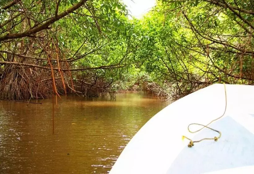 ホテル Okvin River Villa