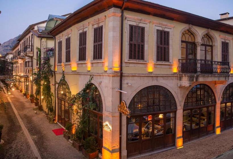 בית מלון כפרי The Shahut