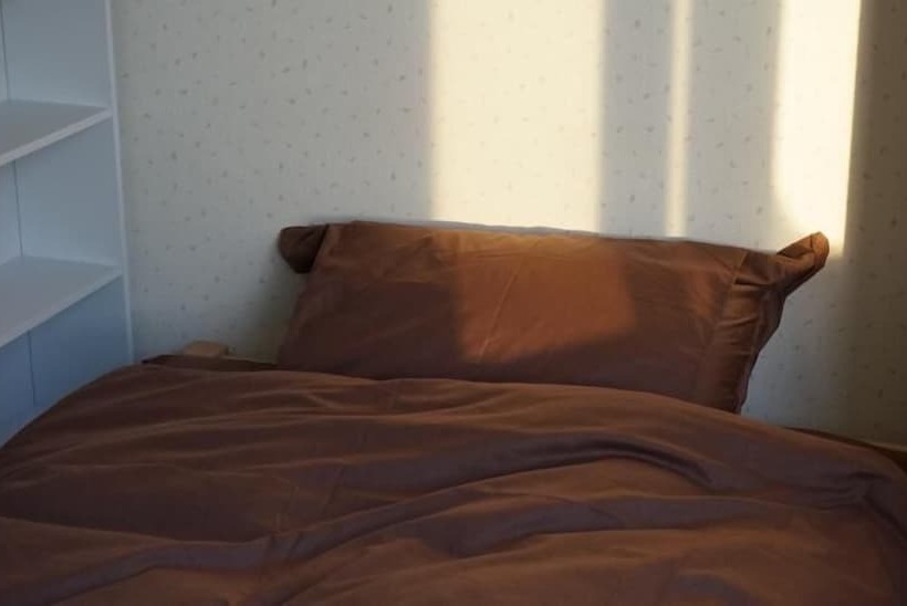 Otaru Ekimae Guest House Ito   Hostel