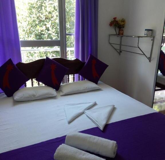 بنسيون Evening Star Guest Inn