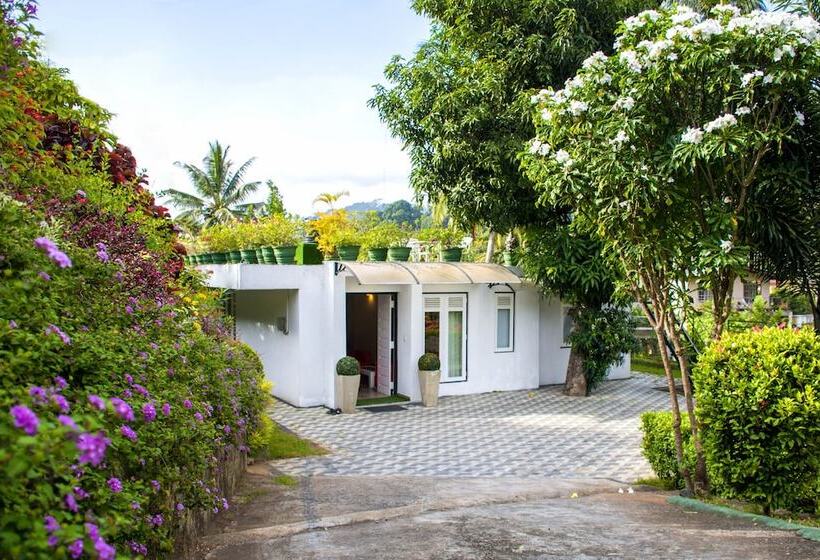 פנסיון Organic Villa Kandy