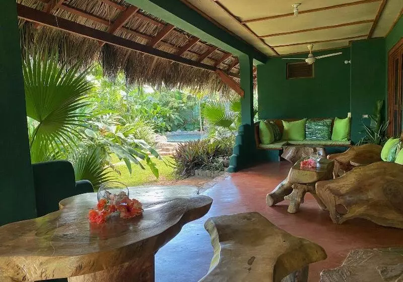 تختخواب و صبحانه Chalet Tropical Hotel & Restaurant Pizzeria