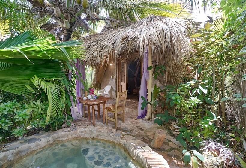 تختخواب و صبحانه Chalet Tropical Hotel & Restaurant Pizzeria