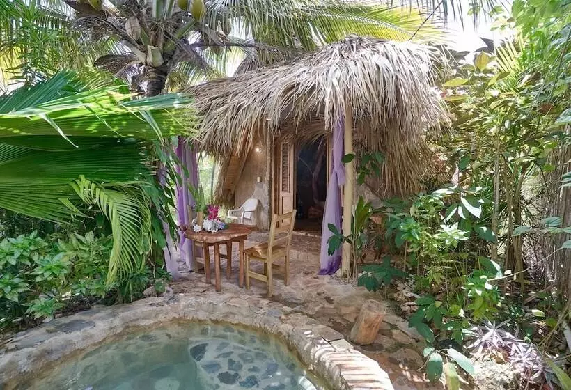 تختخواب و صبحانه Chalet Tropical Hotel & Restaurant Pizzeria