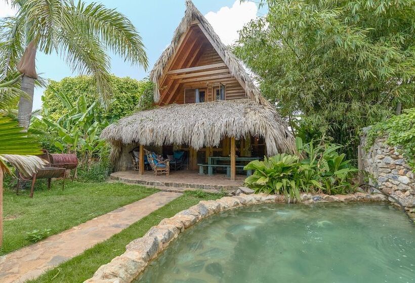 تختخواب و صبحانه Chalet Tropical Hotel & Restaurant Pizzeria