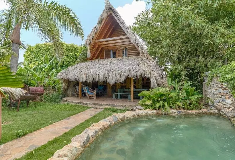 تختخواب و صبحانه Chalet Tropical Hotel & Restaurant Pizzeria
