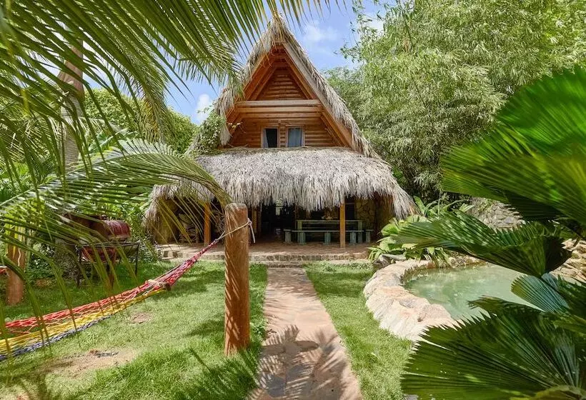 تختخواب و صبحانه Chalet Tropical Hotel & Restaurant Pizzeria