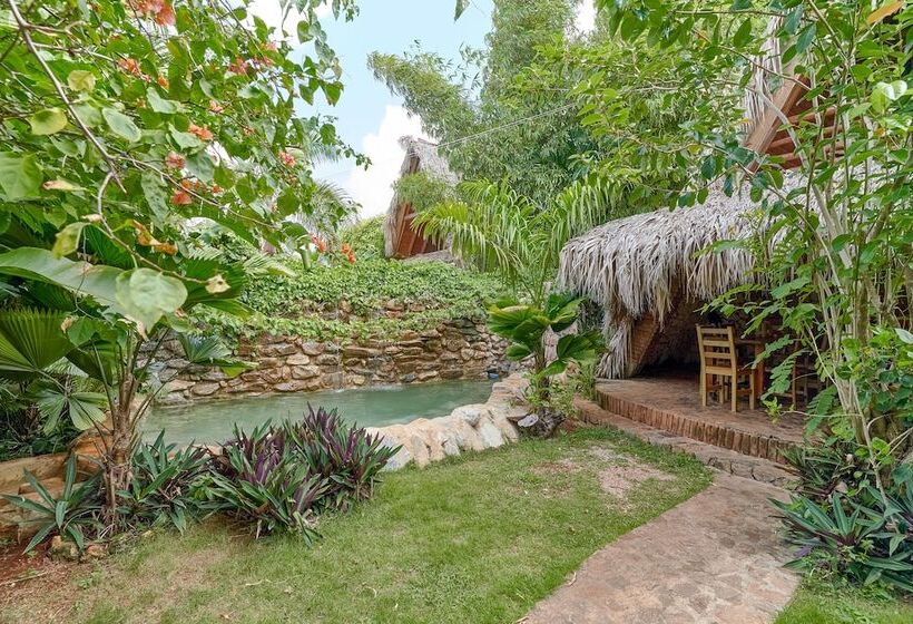 تختخواب و صبحانه Chalet Tropical Hotel & Restaurant Pizzeria