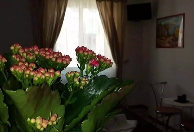 ベッドアンドブレックファースト Galleria Frascati Rooms And Apartment