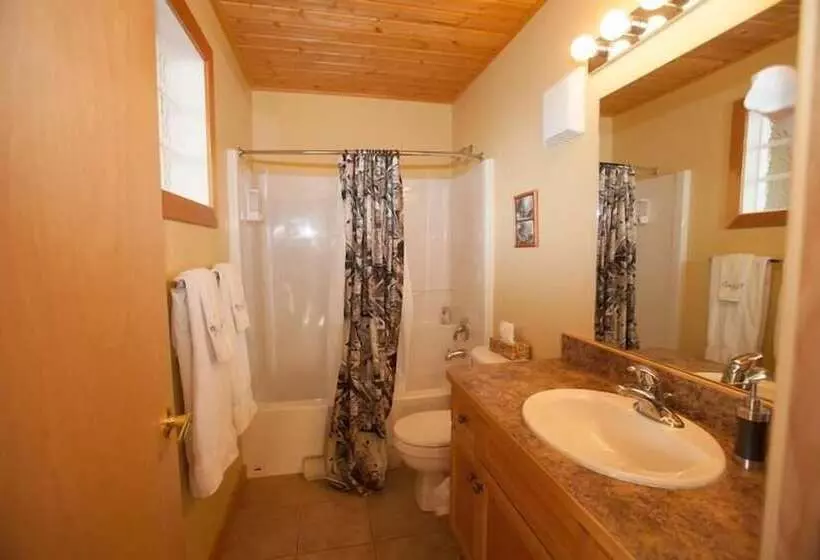 ホテル Creekview Court By Apex Accommodations
