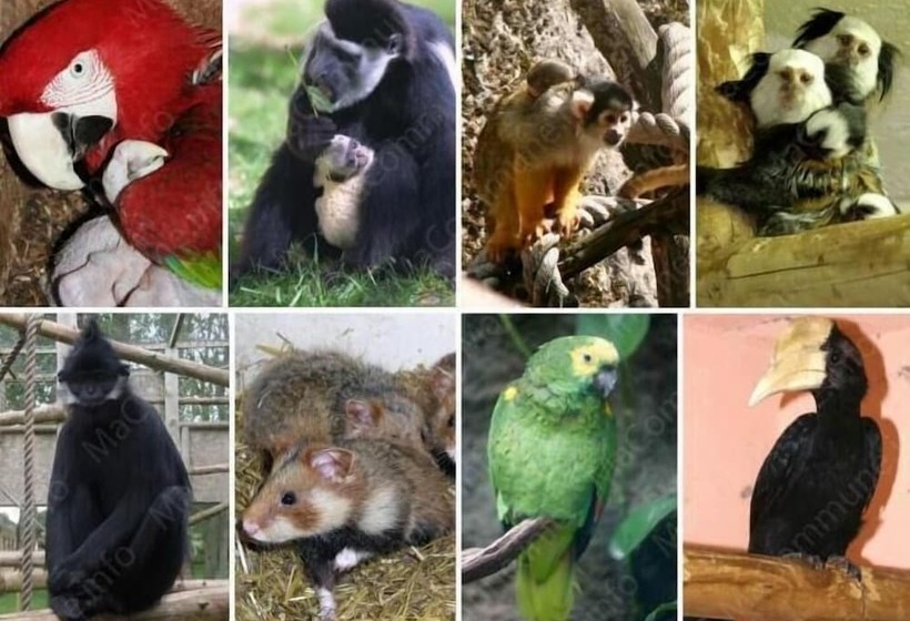 Hotel F1 Besancon Ouest Micropolis