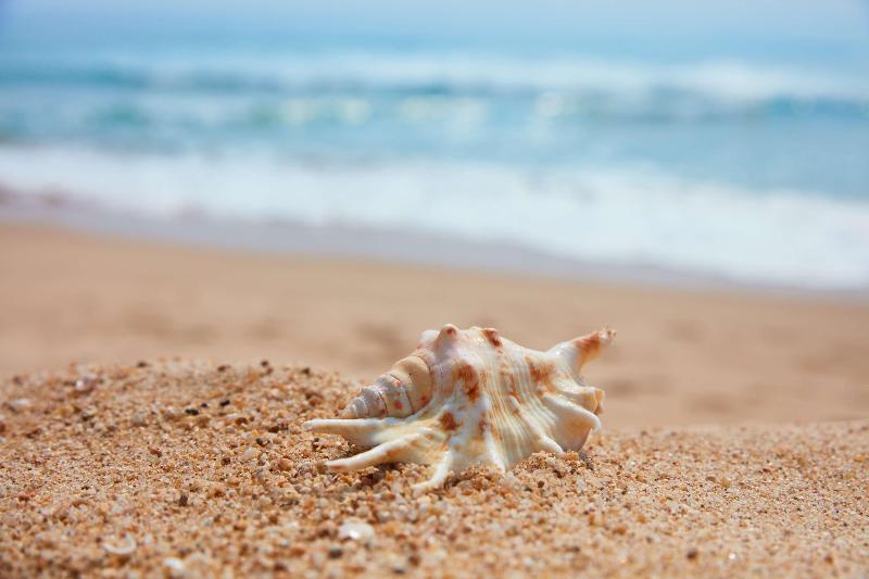 בית מלון כפרי Grand Hyatt Sanya Haitang Bay Resort And Spa