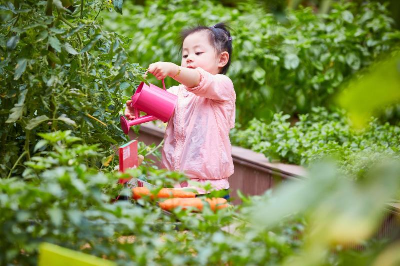 فندق Grand Hyatt Sanya Haitang Bay Resort And Spa