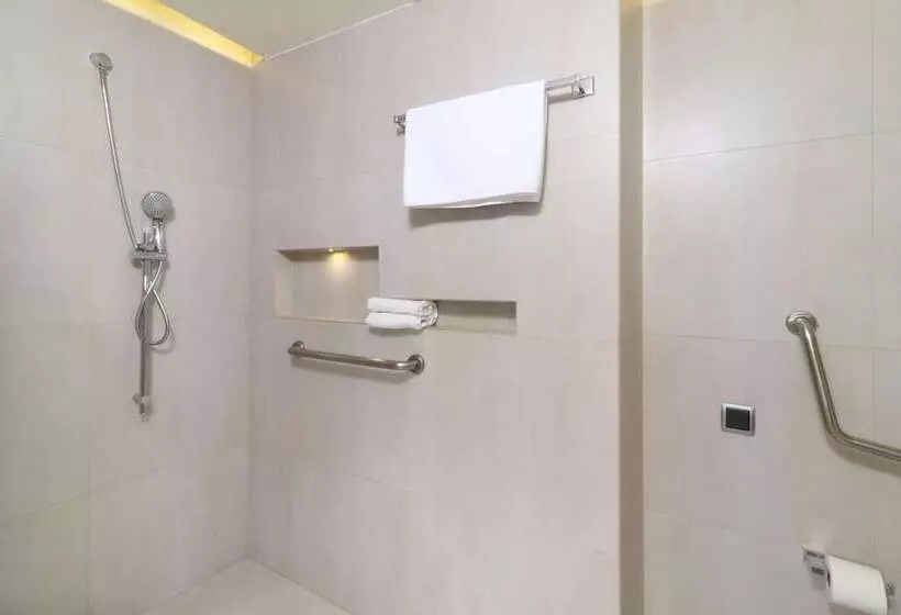 ホテル Holiday Inn Express Mexico Aeropuerto, An Ihg
