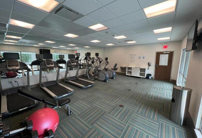 בית מלון כפרי Holiday Inn Express & Suites   Detroit Northwest   Livonia, An Ihg