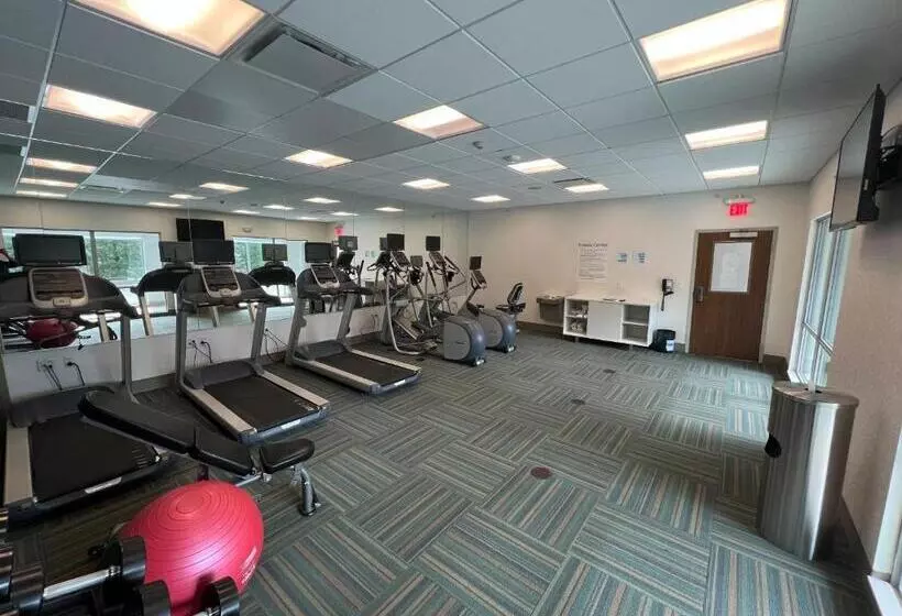 ホテル Holiday Inn Express & Suites   Detroit Northwest   Livonia, An Ihg