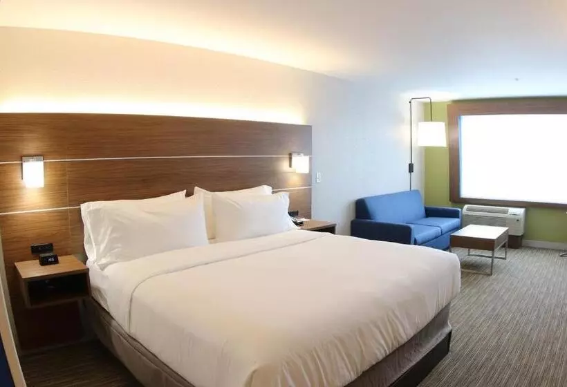 ホテル Holiday Inn Express & Suites   Detroit Northwest   Livonia, An Ihg