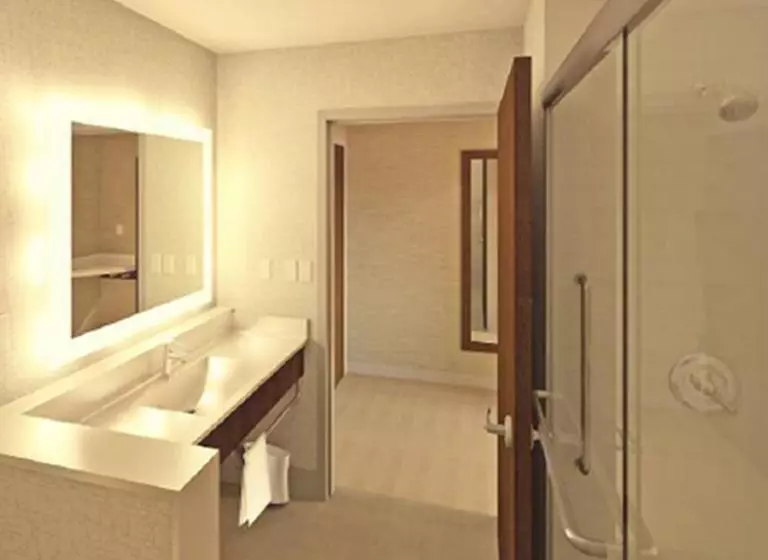 ホテル Holiday Inn Express & Suites   Detroit Northwest   Livonia, An Ihg