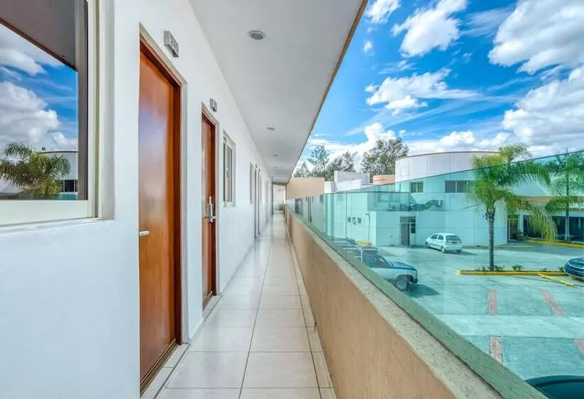 Hotelli Maioris Guadalajara