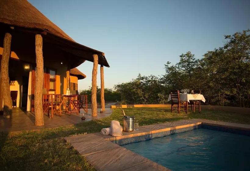 هتل Mopane Bush Lodge