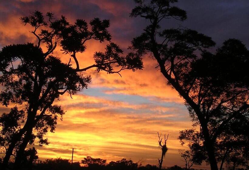 هتل Posada 21 Oranges