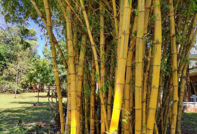 هتل Posada 21 Oranges