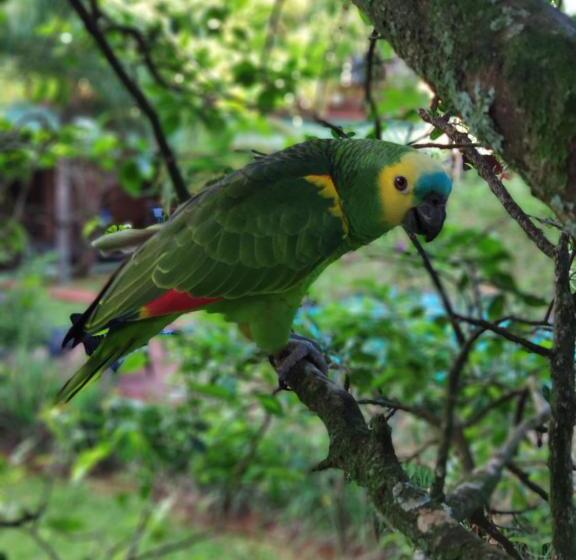 هتل Posada 21 Oranges