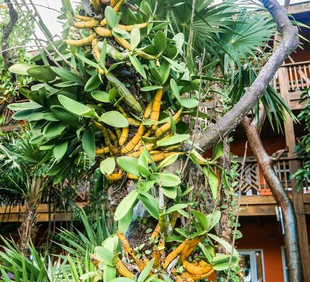 هتل Posada Las Orquideas