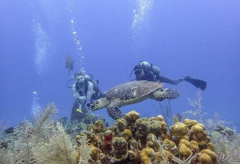هتل Posada Las Orquideas