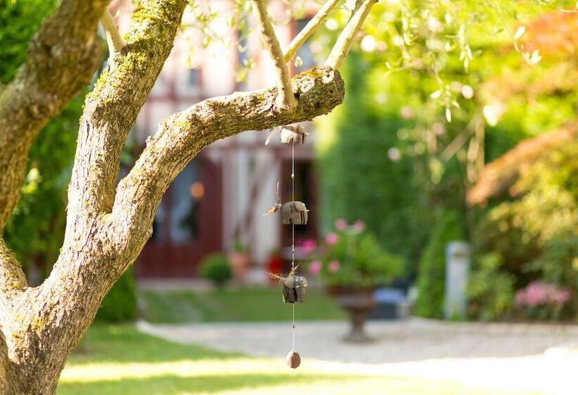 酒店 Spa  Au Charme Rabelaisien