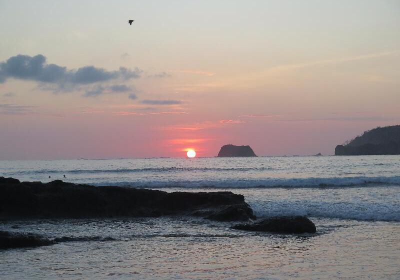 Nammbu Beach Front Bungalows