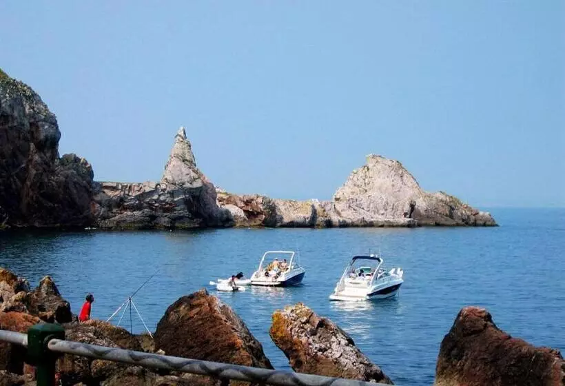 Pensió Babbacombe Palms